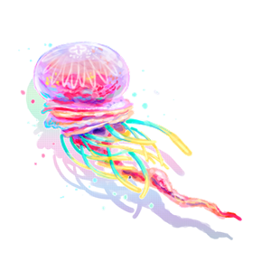 Jellyfish PNG-47089